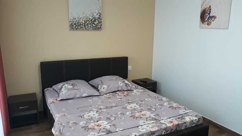 Casa Roxana Apartment Slatina  Ngoại thất bức ảnh