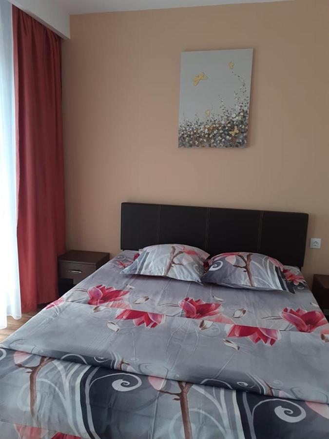 Casa Roxana Apartment Slatina  Ngoại thất bức ảnh
