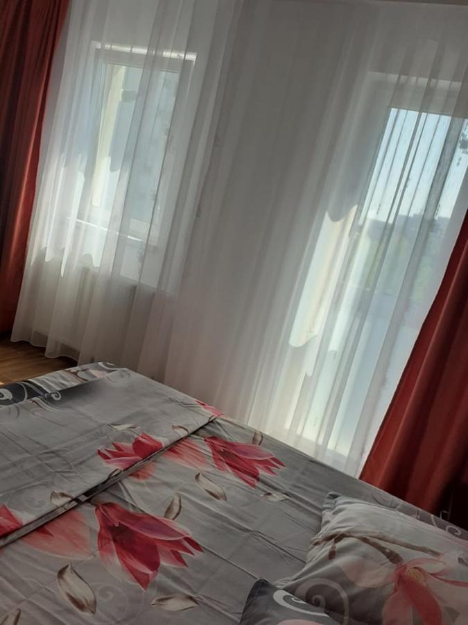 Casa Roxana Apartment Slatina  Ngoại thất bức ảnh